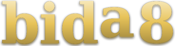 bida 8 logo